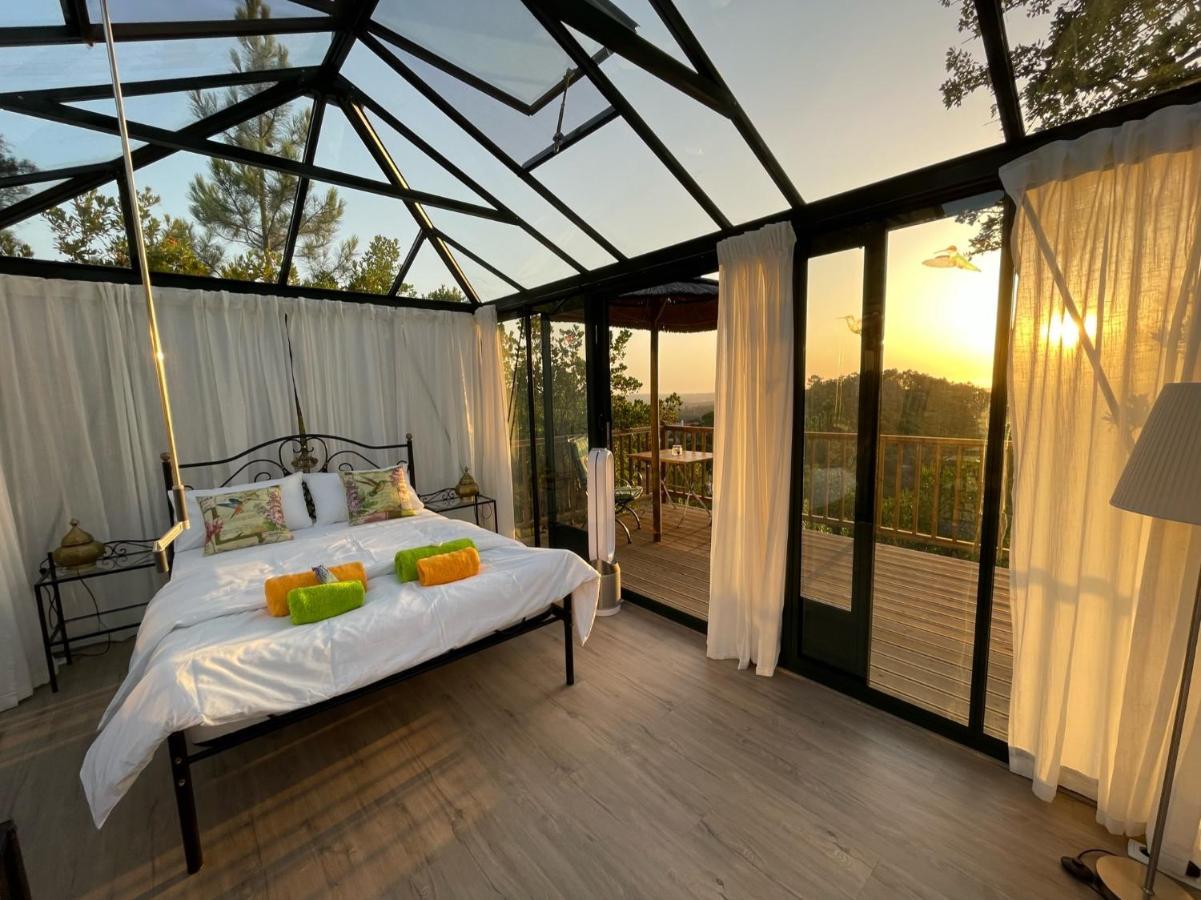 Romantic Skyview Glasshouses Rogil Exteriör bild