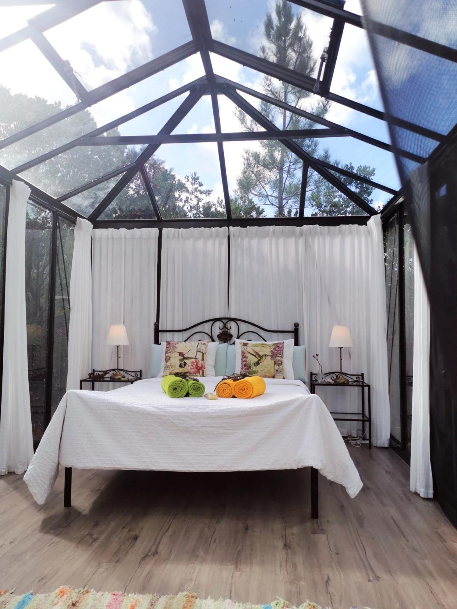 Romantic Skyview Glasshouses Rogil Exteriör bild